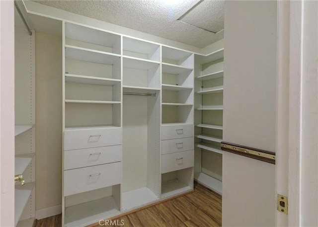 spacious closet featuring wood finished floors