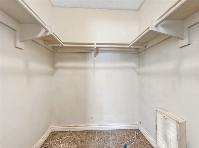 walk in closet featuring carpet floors