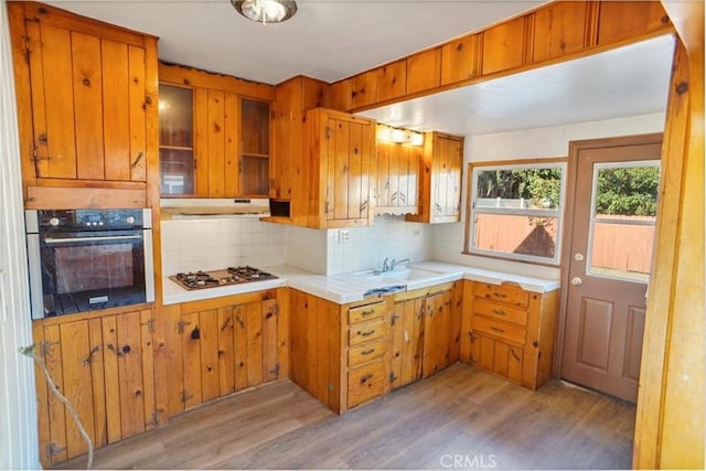 kitchen with appliances with stainless steel finishes, light wood-style flooring, under cabinet range hood, and decorative backsplash