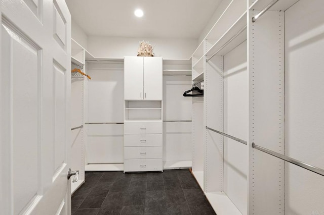 view of walk in closet