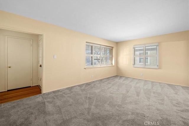 spare room with carpet floors