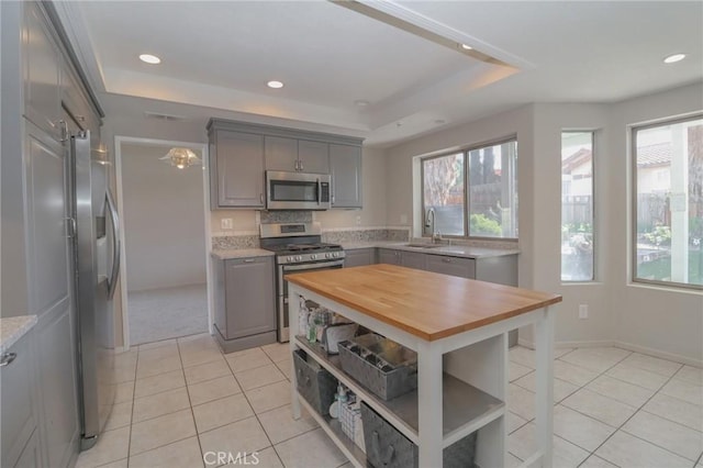 kitchen featuring stainless steel appliances, a raised ceiling, a healthy amount of sunlight, and gray cabinets