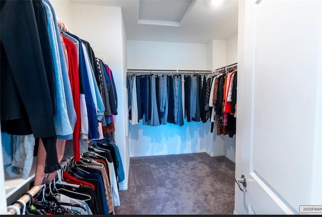 walk in closet featuring carpet floors and attic access