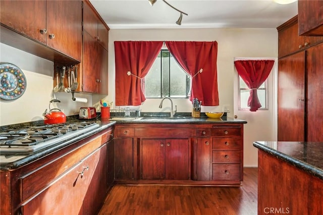 kitchen featuring dark wood finished floors, stainless steel gas cooktop, a sink, track lighting, and dark brown cabinets