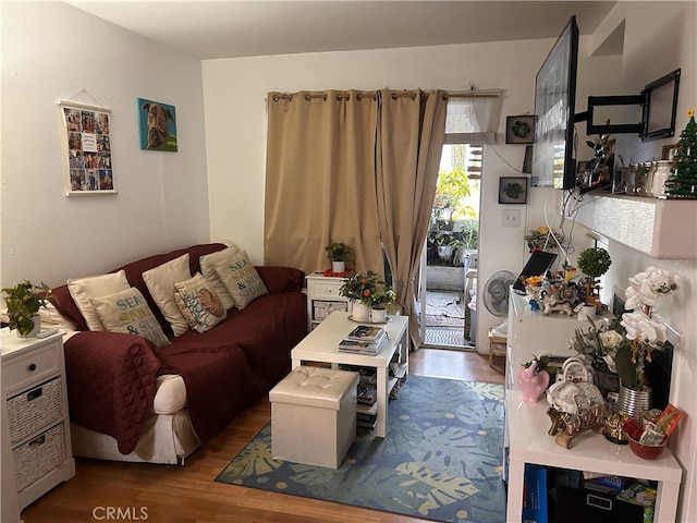 living area featuring wood finished floors