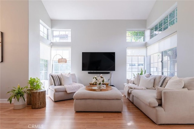 living room featuring a towering ceiling and wood finished floors