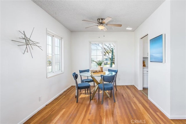 dining room with a textured ceiling, a healthy amount of sunlight, and light wood-style floors