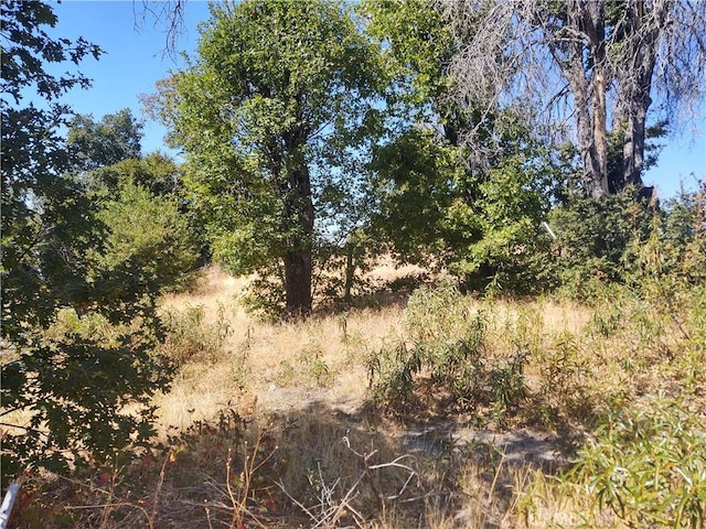 363 Raccoon Rd, Berry Creek CA, 95916 land for sale