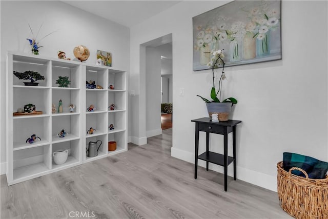 hall featuring baseboards and wood finished floors