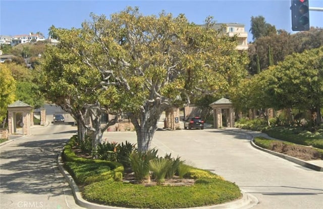 view of community featuring concrete driveway