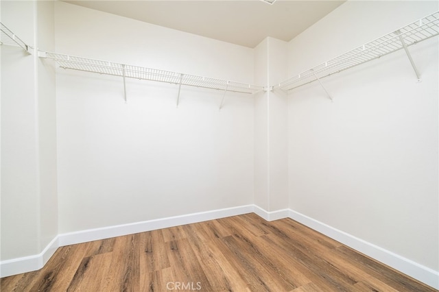 walk in closet with wood finished floors