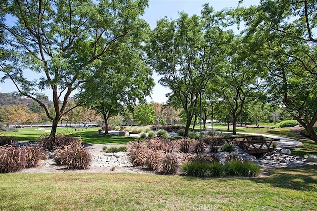 view of community featuring a lawn