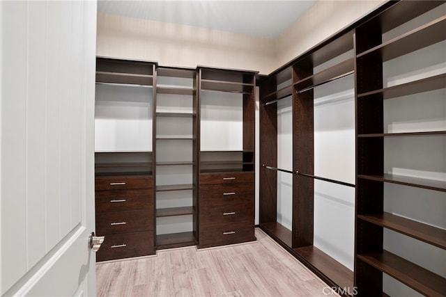 walk in closet with light wood-style flooring