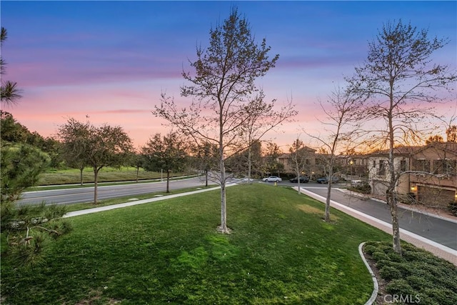 view of community featuring a lawn