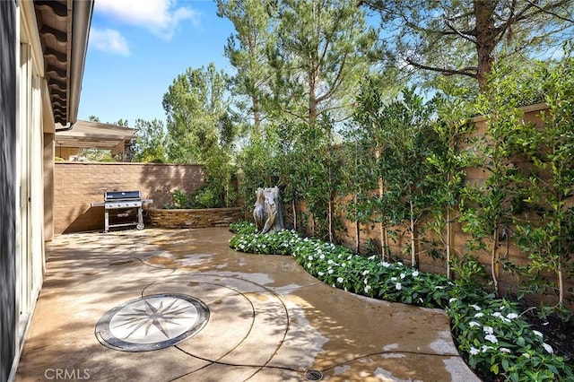 view of patio / terrace featuring a fenced backyard and grilling area