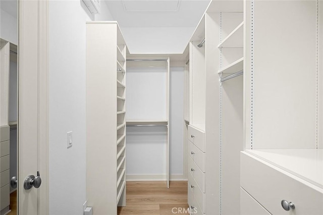 walk in closet featuring light wood-style floors