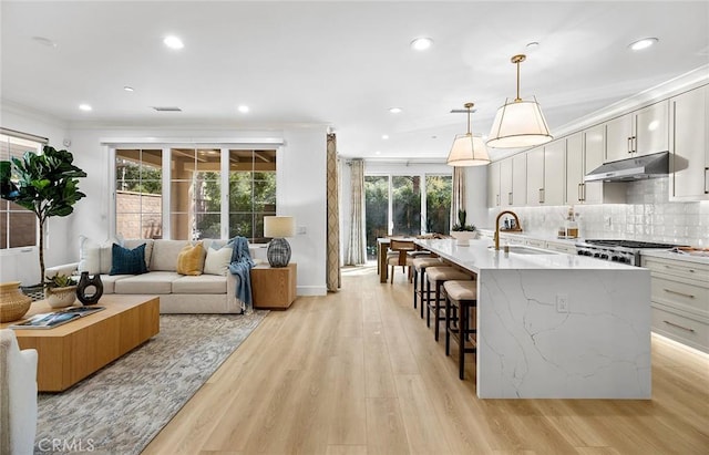 kitchen with light wood-style floors, a kitchen breakfast bar, a healthy amount of sunlight, under cabinet range hood, and a sink