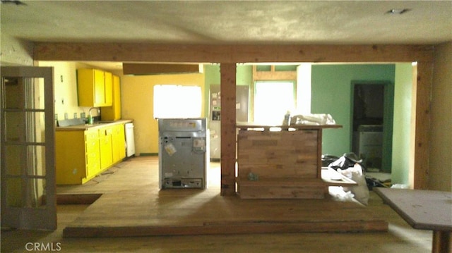 kitchen featuring white dishwasher, a sink, and wood finished floors