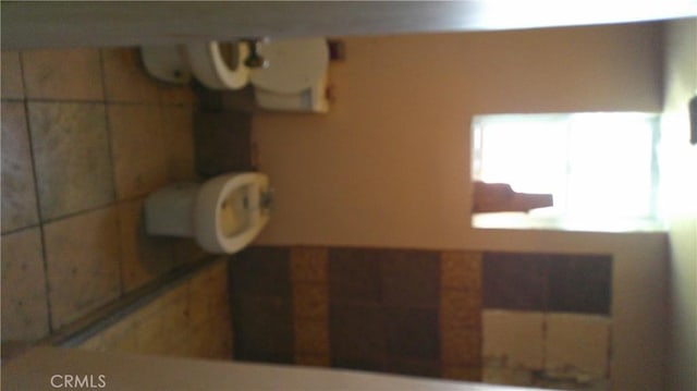 bathroom featuring toilet