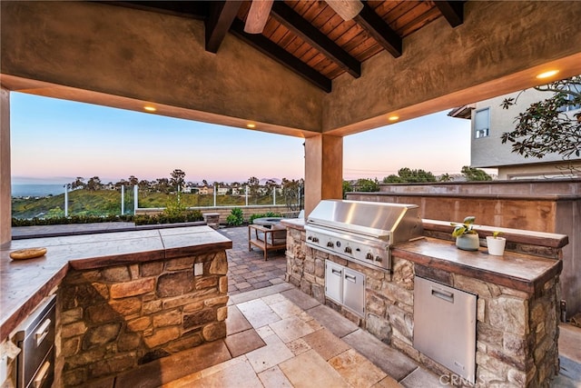 view of patio / terrace with exterior kitchen and area for grilling