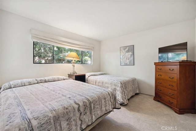 bedroom with light colored carpet