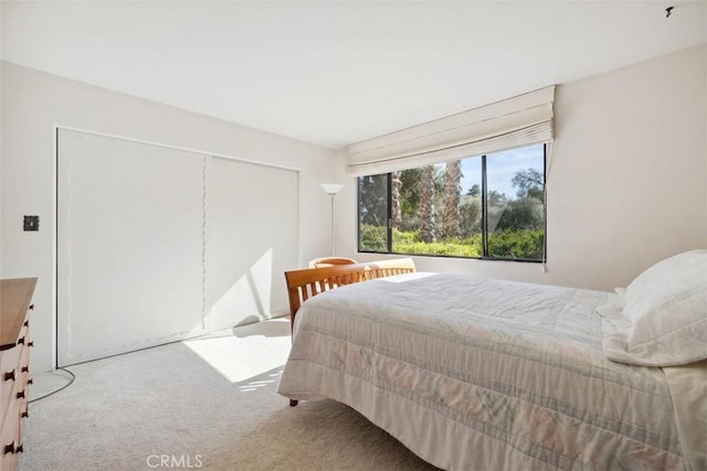 bedroom with a closet and carpet flooring