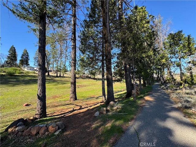 13743 Andover Dr, Magalia CA, 95954 land for sale