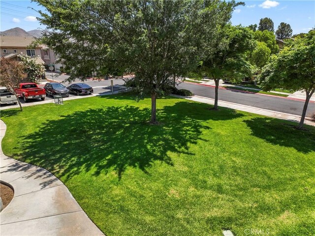 1339 Castledale St, Riverside, CA 92501 - view of yard