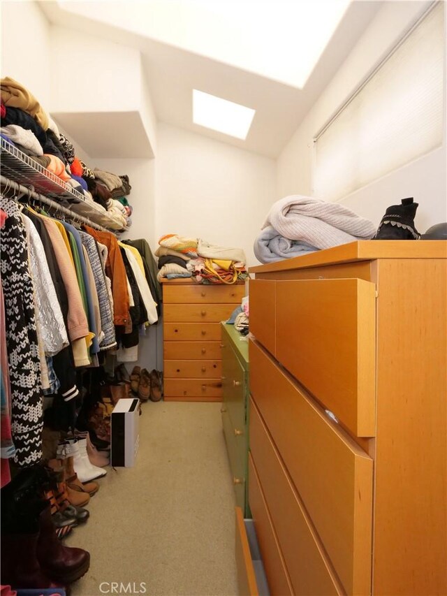 spacious closet with carpet floors and a skylight