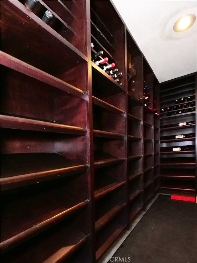 view of wine cellar