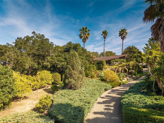 3980 Laguna Blanca Dr, Santa Barbara, CA 93110 - photo 38