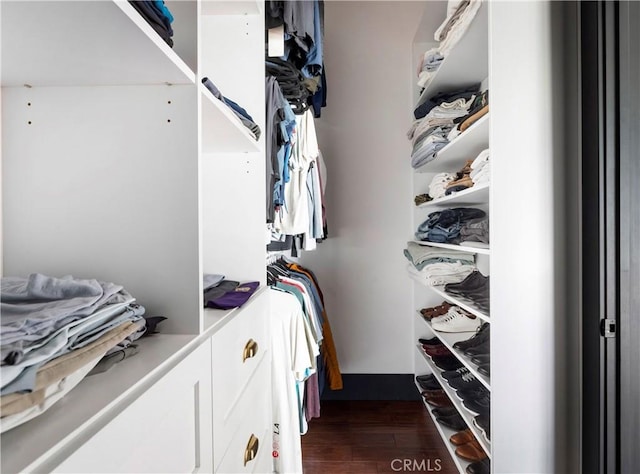 spacious closet featuring dark wood finished floors