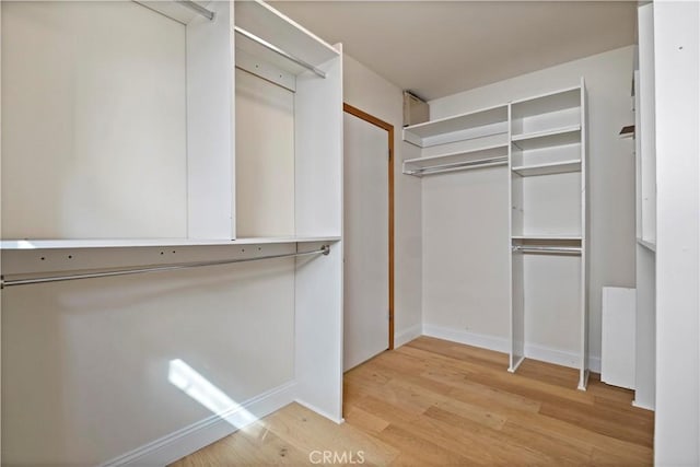 walk in closet with light wood-type flooring