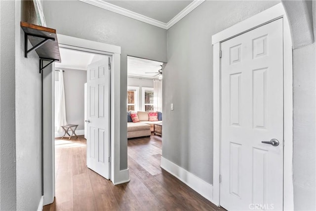 hallway with baseboards, a textured wall, dark wood-type flooring, and crown molding