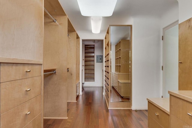 walk in closet featuring dark wood-style flooring