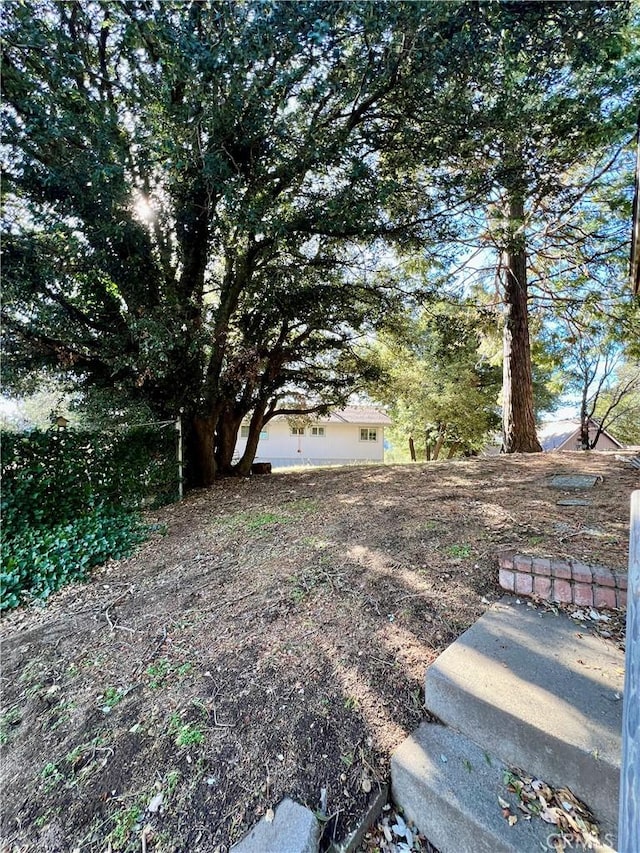 370 Weisshorn Dr, Crestline, CA 92325 - view of yard