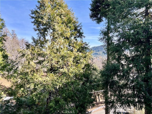 370 Weisshorn Dr, Crestline, CA 92325 - view of nature
