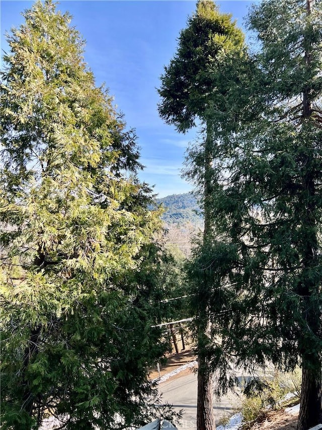 370 Weisshorn Dr, Crestline, CA 92325 - property view of mountains