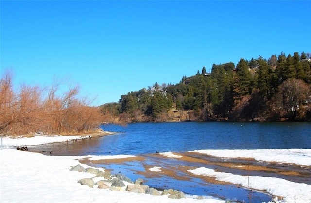 370 Weisshorn Dr, Crestline, CA 92325 - property view of water with a view of trees