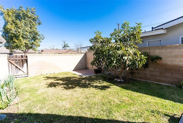 view of yard featuring a fenced backyard