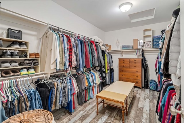 walk in closet with attic access and wood finished floors