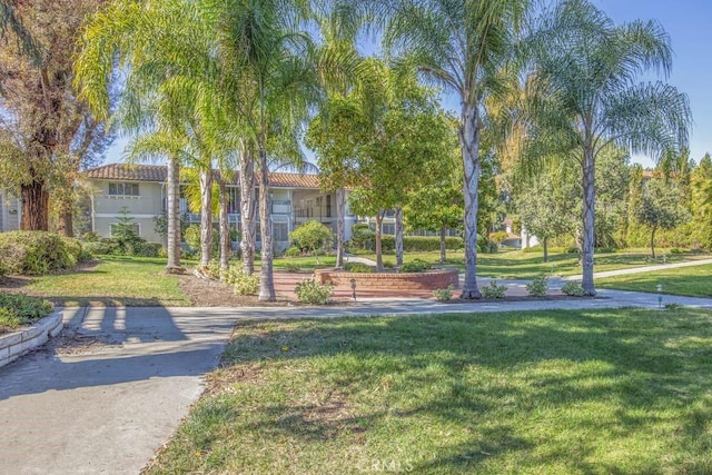 view of property's community featuring a lawn