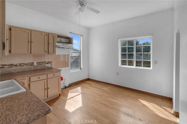 kitchen featuring light wood-style flooring, a sink, ceiling fan, under cabinet range hood, and baseboards