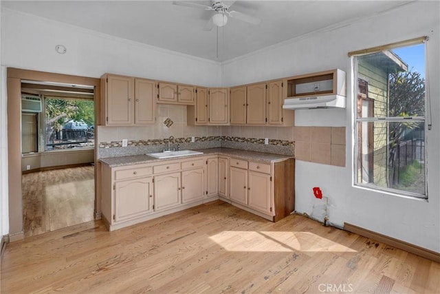 kitchen featuring decorative backsplash, light wood-style flooring, ornamental molding, under cabinet range hood, and a sink