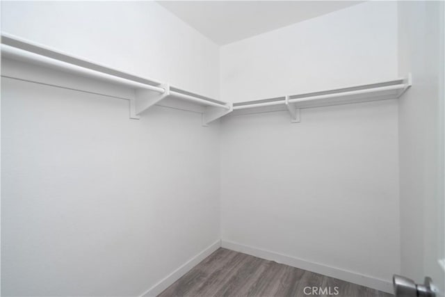 spacious closet featuring wood finished floors