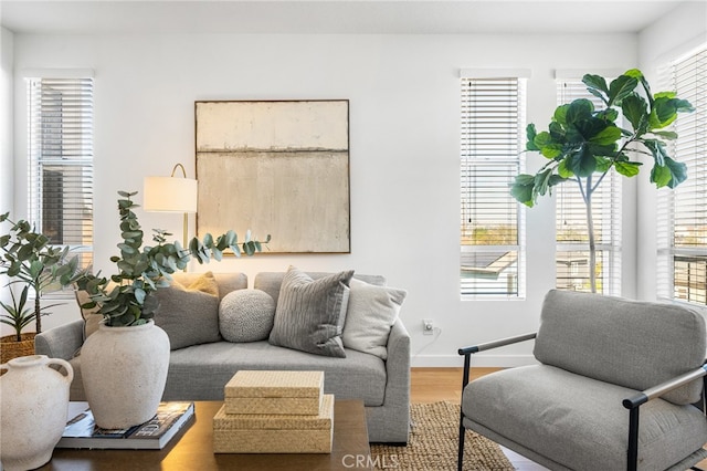 living room featuring wood finished floors and baseboards