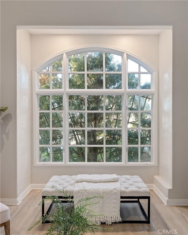 interior space featuring light wood-type flooring and baseboards