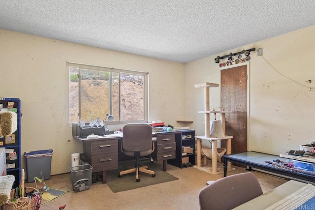 carpeted office with a textured ceiling