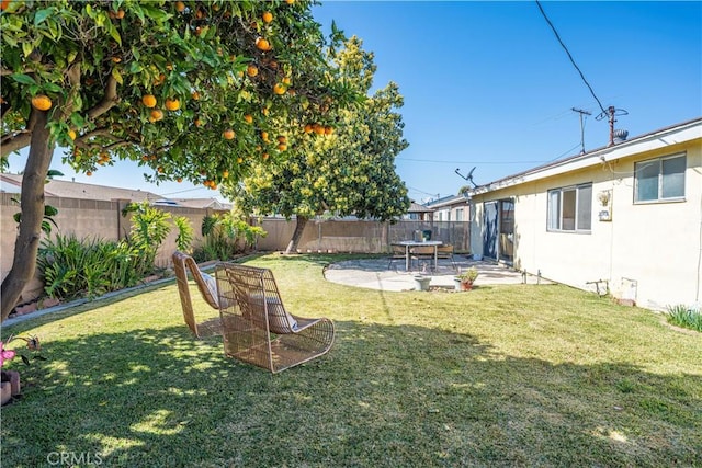 view of yard with a fenced backyard and a patio