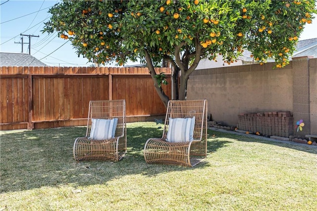 view of yard with a fenced backyard